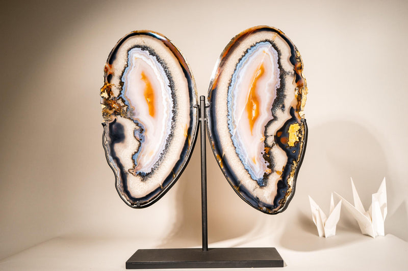 Lace Agate Butterfly Wings – Collector's Grade Black, Clear, Blue & Yellow Agate Patterns - E2D Crystals & Minerals