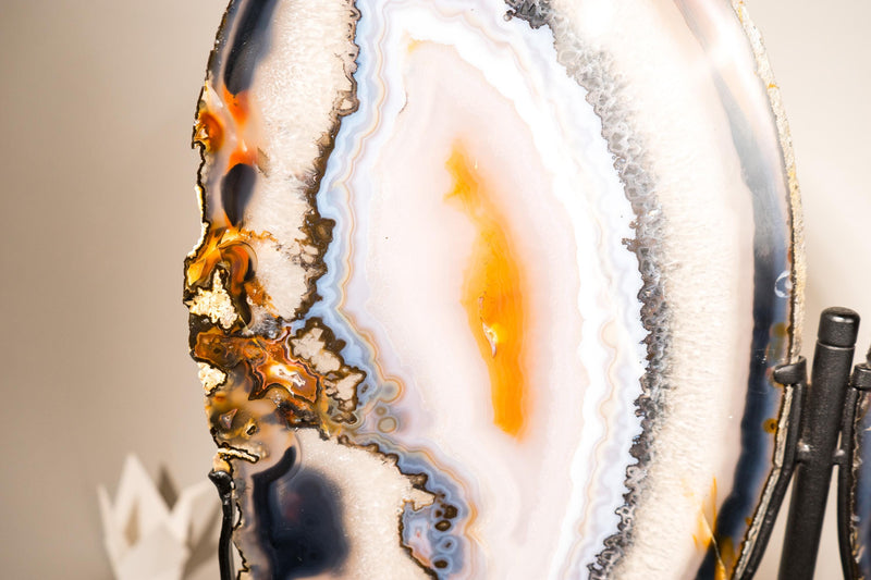 Lace Agate Butterfly Wings – Collector's Grade Black, Clear, Blue & Yellow Agate Patterns - E2D Crystals & Minerals