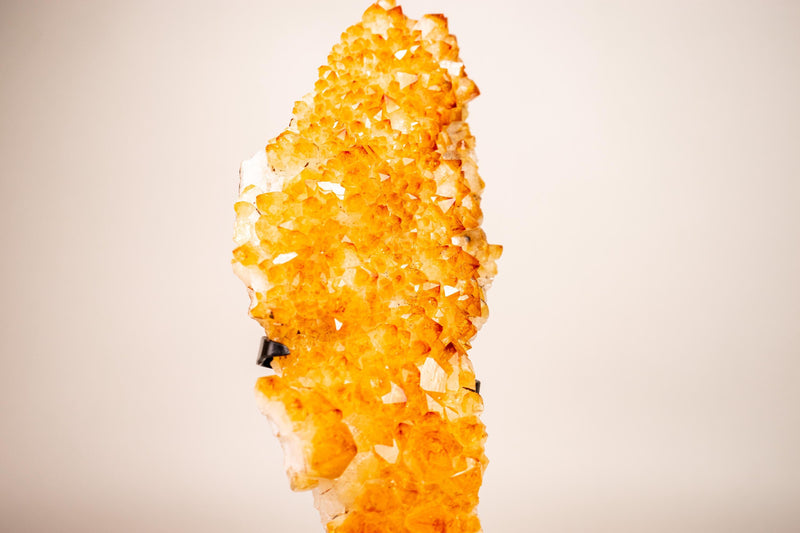 Small Golden Yellow Citrine Cluster with Delicate Rosettes