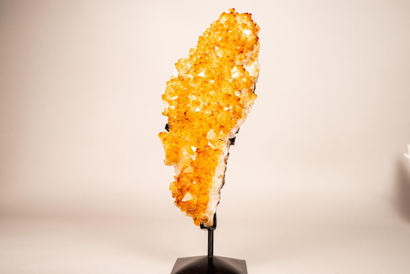 Small Golden Yellow Citrine Cluster with Delicate Rosettes
