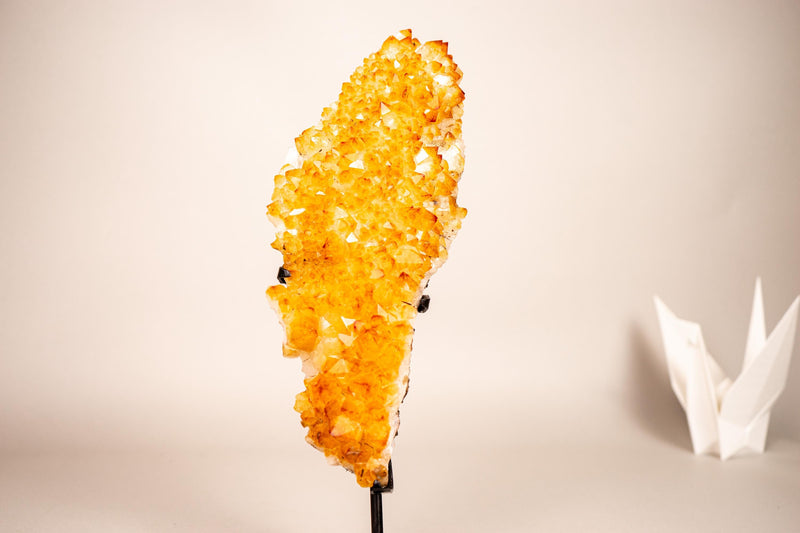 Small Golden Yellow Citrine Cluster with Delicate Rosettes