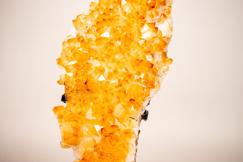 Small Golden Yellow Citrine Cluster with Delicate Rosettes