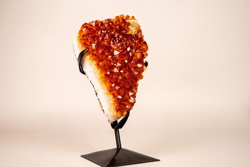 Natural Madeira Citrine Cluster with Rare, AAA - Grade Red Orange Citrine - E2D Crystals & Minerals