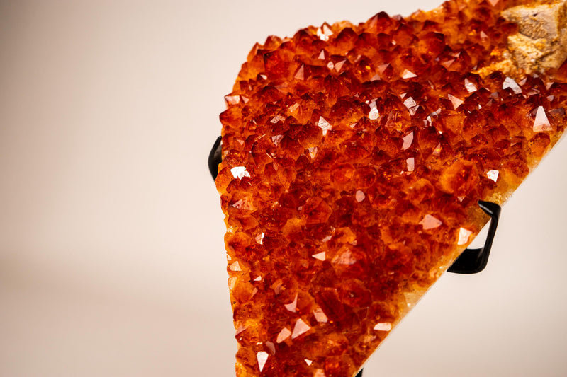 Natural Madeira Citrine Cluster with Rare, AAA - Grade Red Orange Citrine - E2D Crystals & Minerals