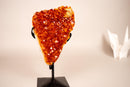 Natural Madeira Citrine Cluster with Rare, AAA - Grade Red Orange Citrine - E2D Crystals & Minerals