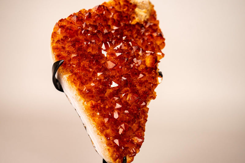Natural Madeira Citrine Cluster with Rare, AAA - Grade Red Orange Citrine - E2D Crystals & Minerals