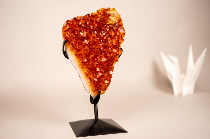 Natural Madeira Citrine Cluster with Rare, AAA - Grade Red Orange Citrine - E2D Crystals & Minerals