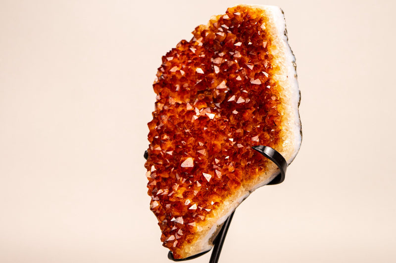 Natural Madeira Citrine Cluster with Rare, AAA - Grade Red Orange Citrine - E2D Crystals & Minerals