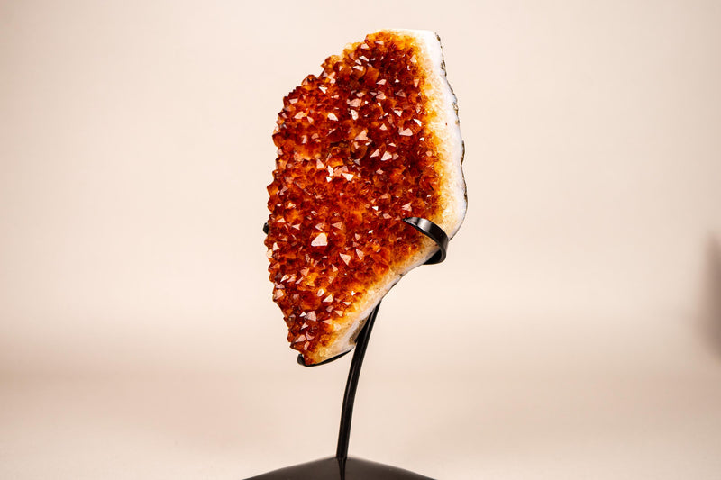 Natural Madeira Citrine Cluster with Rare, AAA - Grade Red Orange Citrine - E2D Crystals & Minerals