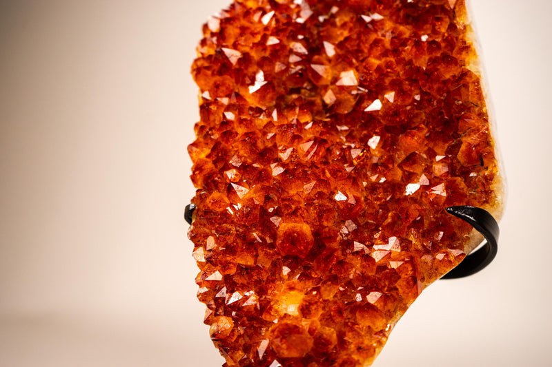 Natural Madeira Citrine Cluster with Rare, AAA - Grade Red Orange Citrine - E2D Crystals & Minerals