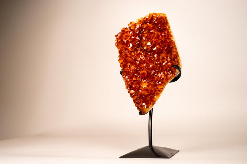 Natural Madeira Citrine Cluster with Rare, AAA - Grade Red Orange Citrine - E2D Crystals & Minerals
