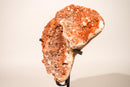 Natural Red Amethyst Cluster with Red Galaxy Druzy on Botryoidal Formations - E2D Crystals & Minerals