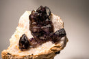 Cacoxenite (Seven Stone) Amethyst Elestial Cluster on Feldspar & Quartz Matrix - E2D Crystals & Minerals