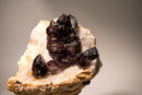 Cacoxenite (Seven Stone) Amethyst Elestial Cluster on Feldspar & Quartz Matrix - E2D Crystals & Minerals
