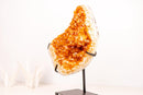 Citrine Crystal Cluster with Rare Stalactite Flower Formation - E2D Crystals & Minerals