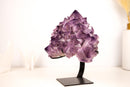 Amethyst Flower Cluster with Large, Aesthetic Lavender Purple Amethyst Points - E2D Crystals & Minerals