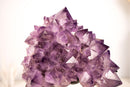 Amethyst Flower Cluster with Large, Aesthetic Lavender Purple Amethyst Points - E2D Crystals & Minerals