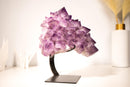 Amethyst Flower Cluster with Large, Aesthetic Lavender Purple Amethyst Points - E2D Crystals & Minerals