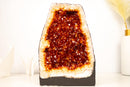 AAA - Grade Citrine Geode Cathedral with Madeira Orange Citrine Druzy - E2D Crystals & Minerals