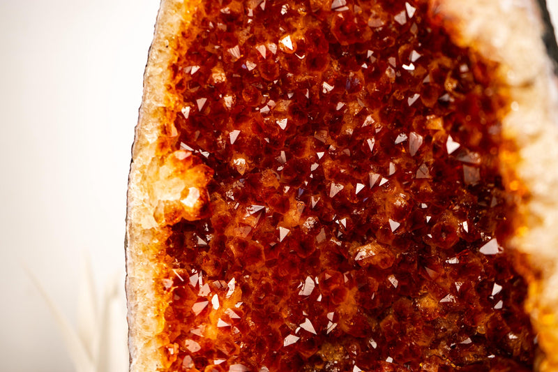 AAA - Grade Citrine Geode Cathedral with Madeira Orange Citrine Druzy - E2D Crystals & Minerals