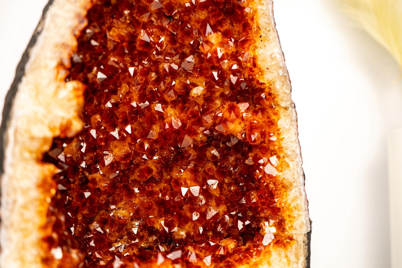 AAA - Grade Citrine Geode Cathedral with Madeira Orange Citrine Druzy - E2D Crystals & Minerals