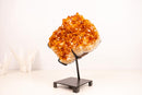 Natural Citrine Cluster with AAA - Grade Orange Druzy on Stand - E2D Crystals & Minerals