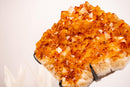 Natural Citrine Cluster with AAA - Grade Orange Druzy on Stand - E2D Crystals & Minerals