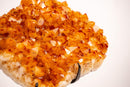 Natural Citrine Cluster with AAA - Grade Orange Druzy on Stand - E2D Crystals & Minerals