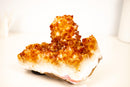 Natural Citrine Rosette Crystal Cluster with a Large Deep Orange Stalactite - E2D Crystals & Minerals