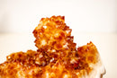 Natural Citrine Rosette Crystal Cluster with a Large Deep Orange Stalactite - E2D Crystals & Minerals