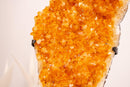 Yellow Citrine Cluster with Deep Yellow Citrine Druzy - E2D Crystals & Minerals