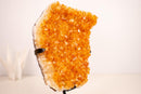 Yellow Citrine Cluster with Deep Yellow Citrine Druzy - E2D Crystals & Minerals