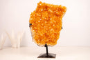 Yellow Citrine Cluster with Deep Yellow Citrine Druzy - E2D Crystals & Minerals