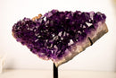 Grape Jelly Purple Amethyst Cluster – Sculptural AAA Quality Crystal - E2D Crystals & Minerals