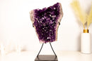 Grape Jelly Purple Amethyst Cluster – Large, AAA Quality with a Flower Formation - E2D Crystals & Minerals