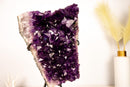 Grape Jelly Purple Amethyst Cluster – Large, AAA Quality with a Flower Formation - E2D Crystals & Minerals