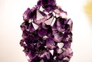 Grape Jelly Amethyst Cluster – AAA - Grade Saturated Deep Purple Crystals - E2D Crystals & Minerals