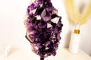 Grape Jelly Amethyst Cluster – AAA - Grade Saturated Deep Purple Crystals - E2D Crystals & Minerals