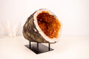 All - Natural Citrine Geode Cave with Sparkling Fiery Orange Druzy - E2D Crystals & Minerals