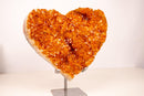 Large Citrine Crystal Heart with Intense Orange Druzy and Flower Rosettes - E2D Crystals & Minerals