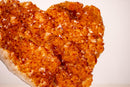 Large Citrine Crystal Heart with Intense Orange Druzy and Flower Rosettes - E2D Crystals & Minerals