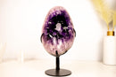 Large Half - Moon Amethyst Cluster with AAA Deep Purple Crystal Points - E2D Crystals & Minerals