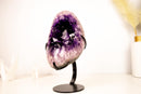 Large Half - Moon Amethyst Cluster with AAA Deep Purple Crystal Points - E2D Crystals & Minerals