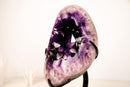 Large Half - Moon Amethyst Cluster with AAA Deep Purple Crystal Points - E2D Crystals & Minerals