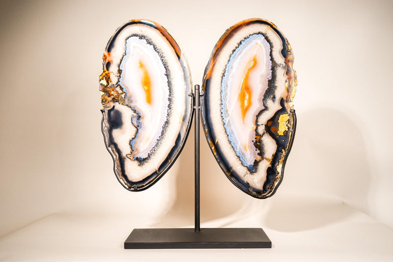 Lace Agate Butterfly Wings – Collector's Grade Black, Clear, Blue & Yellow Agate Patterns - E2D Crystals & Minerals