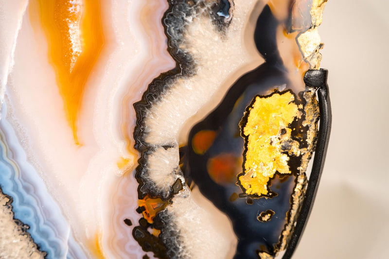 Lace Agate Butterfly Wings – Collector's Grade Black, Clear, Blue & Yellow Agate Patterns - E2D Crystals & Minerals