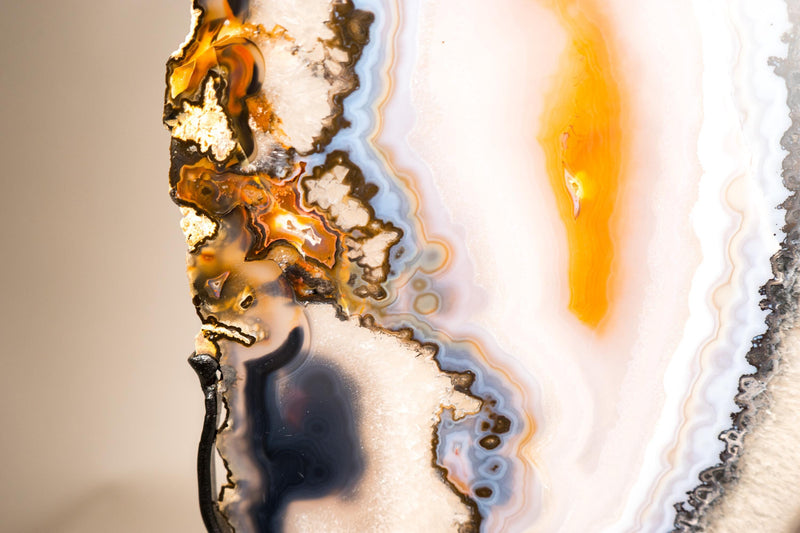 Lace Agate Butterfly Wings – Collector's Grade Black, Clear, Blue & Yellow Agate Patterns - E2D Crystals & Minerals