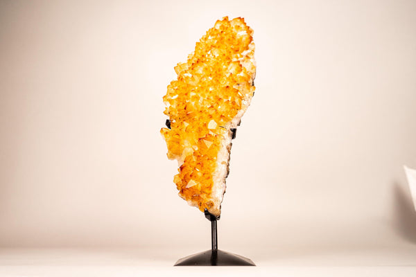 Small Golden Yellow Citrine Cluster with Delicate Rosettes