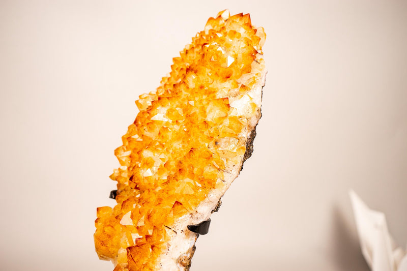 Small Golden Yellow Citrine Cluster with Delicate Rosettes