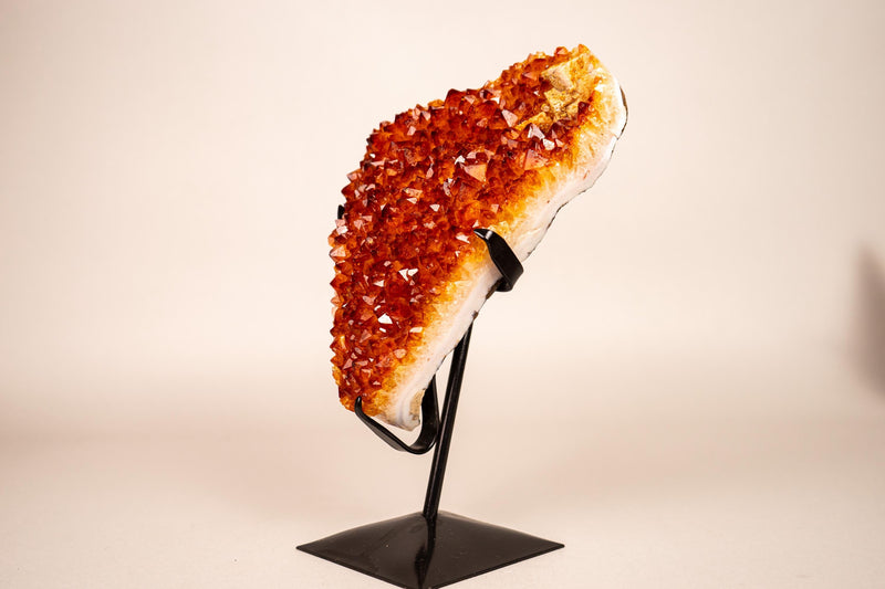 Natural Madeira Citrine Cluster with Rare, AAA - Grade Red Orange Citrine - E2D Crystals & Minerals